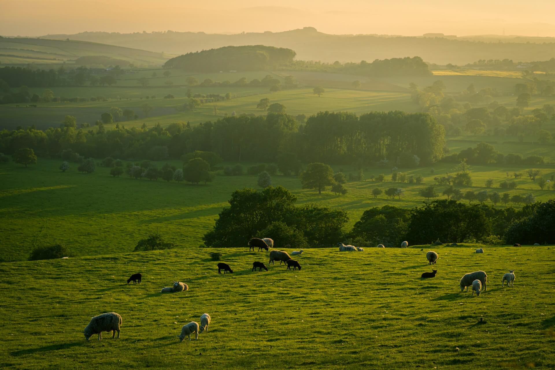 Planning Specialist North Yorkshire Moors